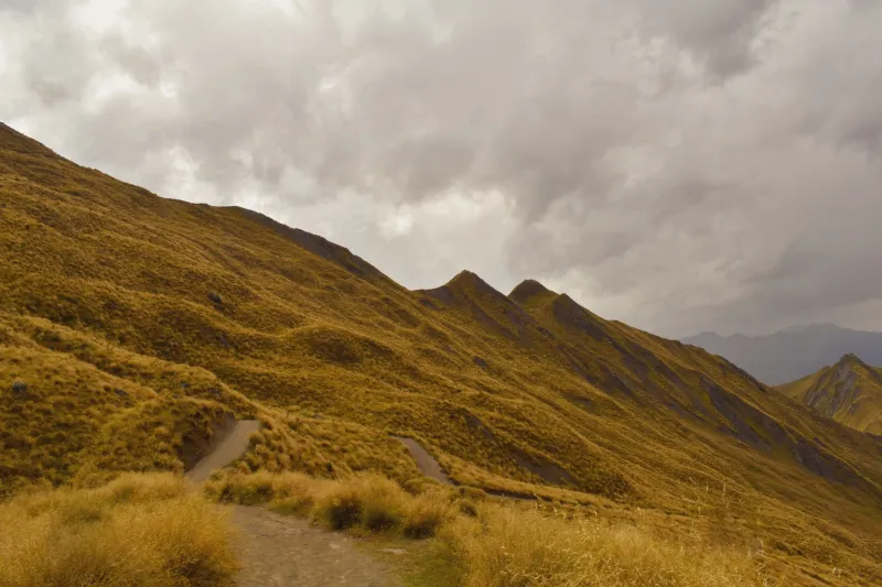 Seasons Reversed, Climate Reimagined: How to Prepare for New Zealand's Weather as an Australian Migrant
