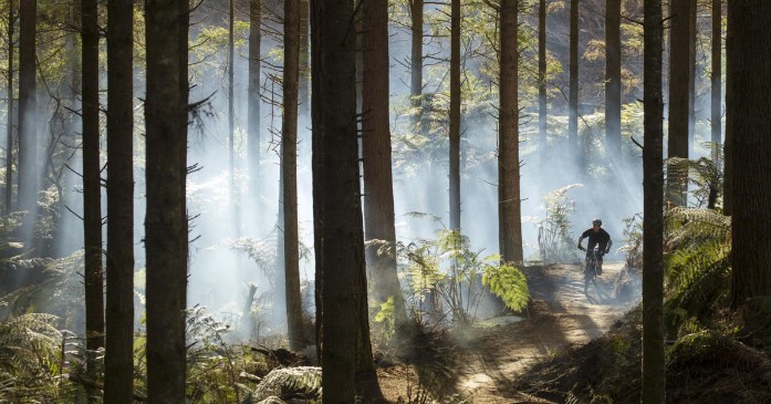 3. Mur Mountain Biking fil Redwoods Foresti Whakarewarewa