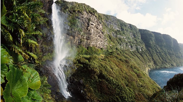 Жаңы Зеландияда турист катары көчүп баратам