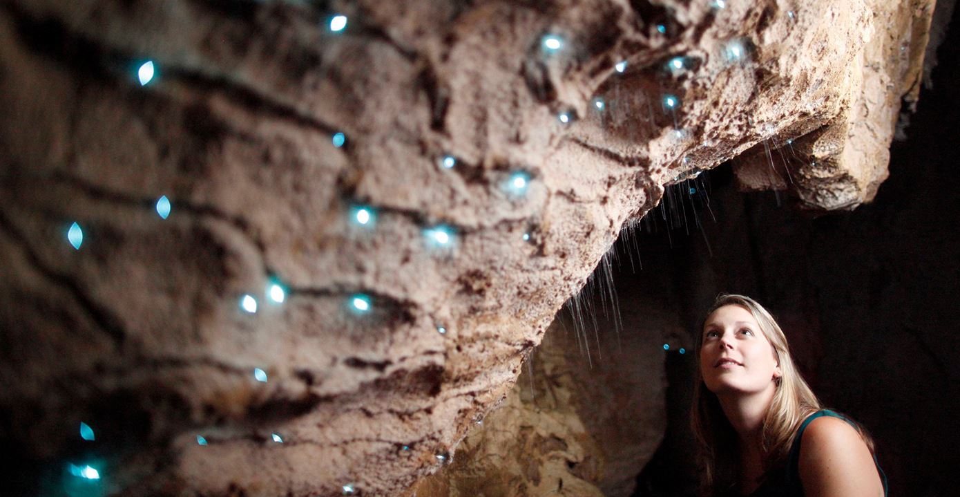 Waitomo Glowworm Mağaraları