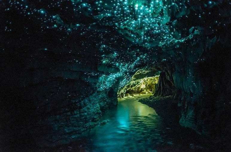 Jaskyne s červami Waipu Glow